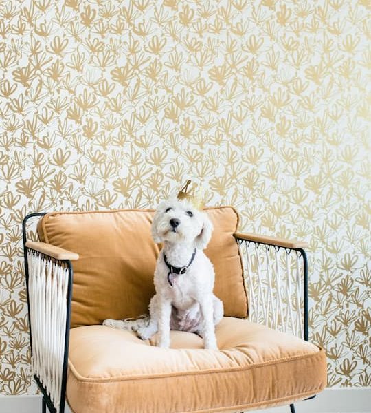 Furry Pet Friendly Furniture by Home Zone Furniture